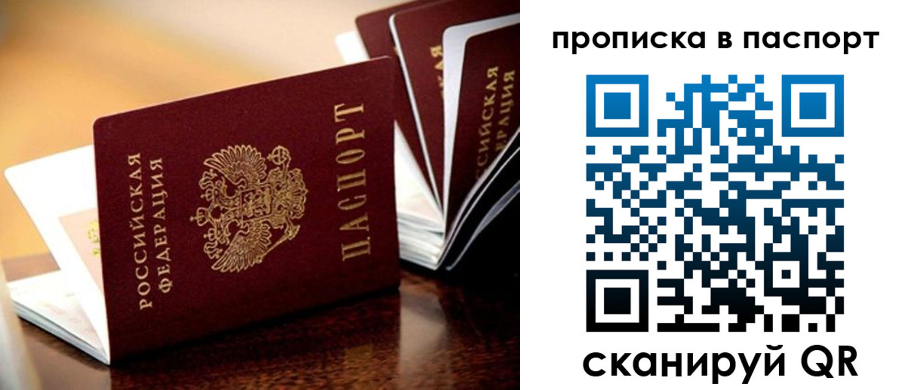 прописка штамп в Оленегорске